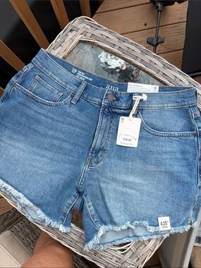 Brand new shorts